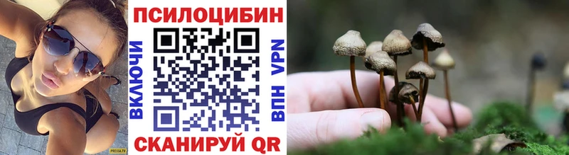Галлюциногенные грибы прущие грибы  Горно-Алтайск 