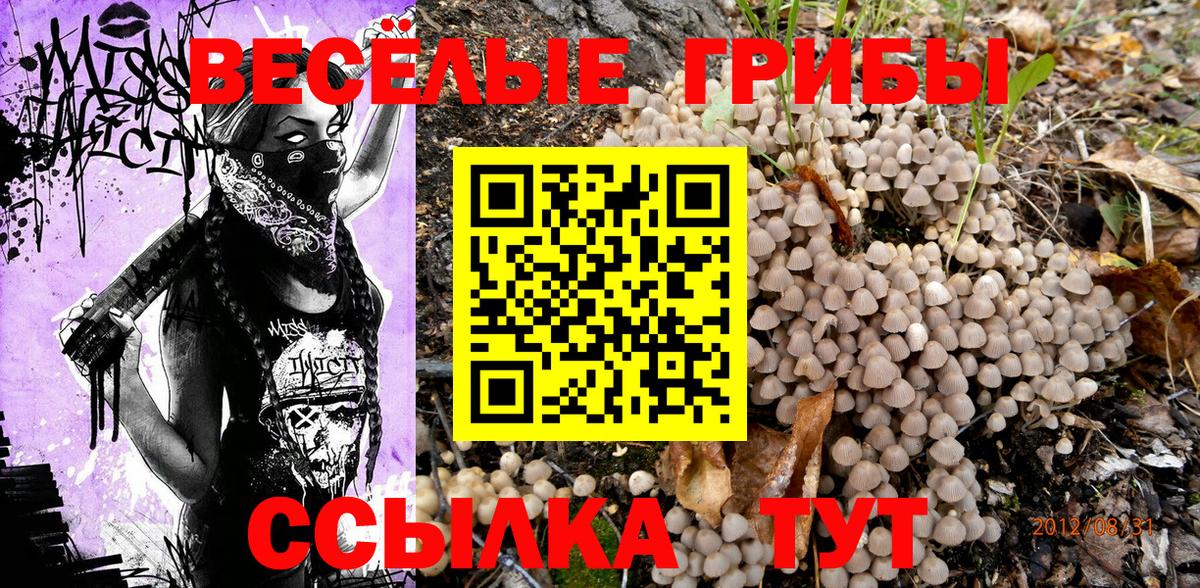 Горно-Алтайск  Галлюциногенные грибы Cubensis  где найти   Вход с VPN 
